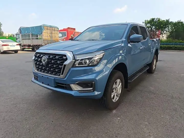 Dongfeng Rich 6 Pro 2025, арт. CN-3237090 — фото 1