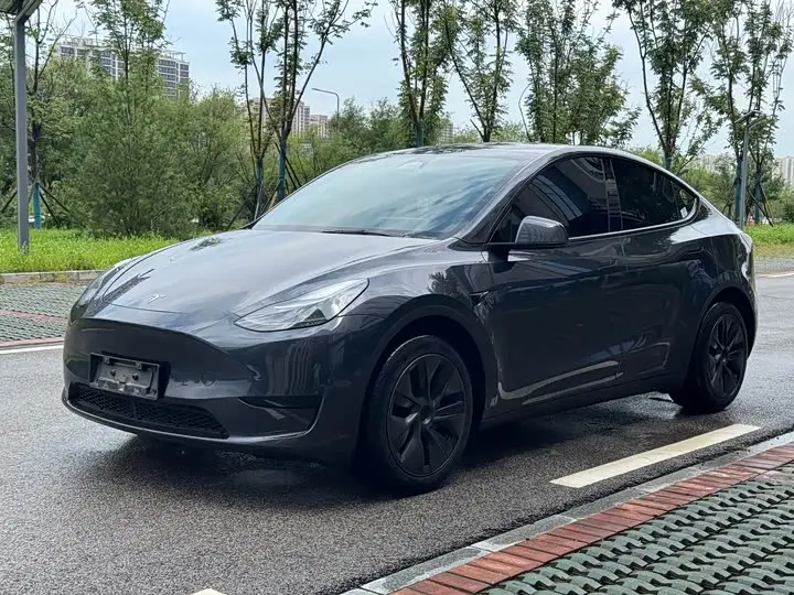 Tesla Model Y 2024, арт. CN-3254721 — фото 1