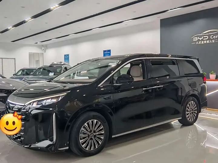 BYD Xia 2025, арт. CN-3260693 — фото 1
