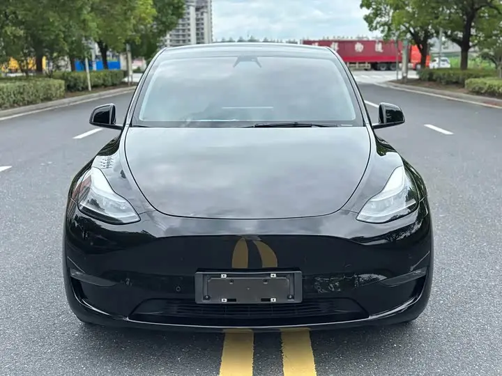 Tesla Model Y 2022, арт. CN-3262494 — фото 1