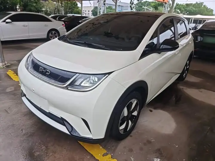 BYD Dolphin 2025, арт. CN-3268916 — фото 1