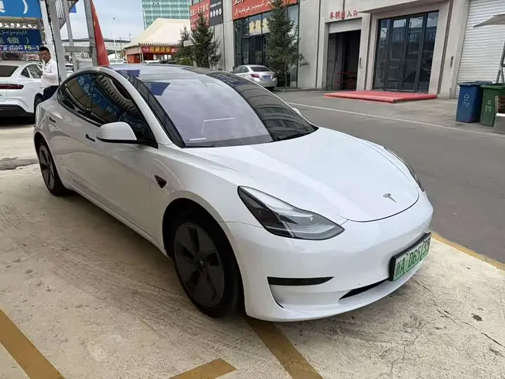 Tesla Model 3 2022, арт. CN-3272013 — фото 1