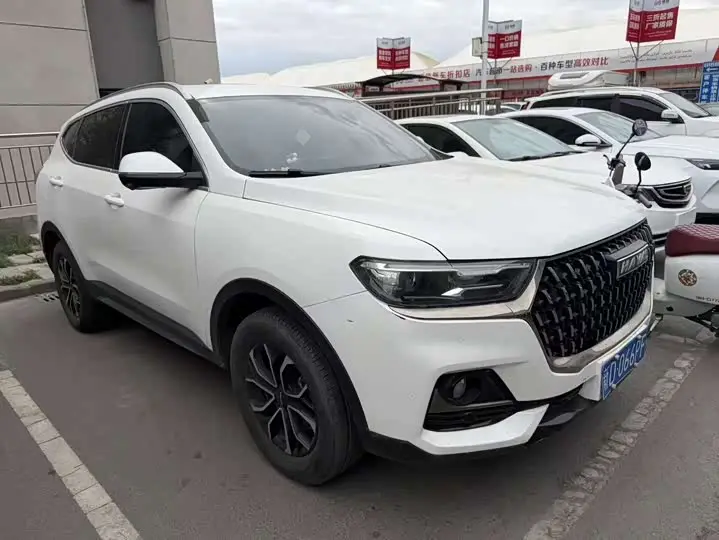 Haval H6 2023, арт. CN-3272646 — фото 1