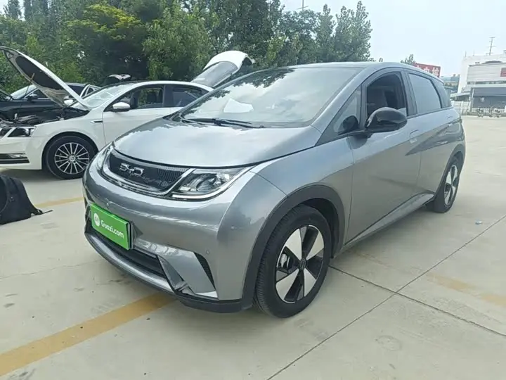 BYD Dolphin 2023, арт. CN-3272693 — фото 1