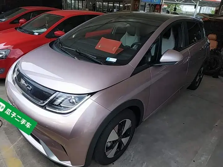 BYD Dolphin 2023, арт. CN-3277331 — фото 1