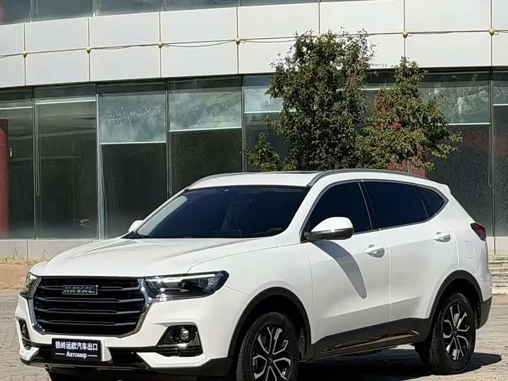 Haval H6 2021, арт. CN-3280000 — фото 1