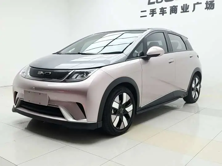 BYD Dolphin 2021, арт. CN-3280005 — фото 1