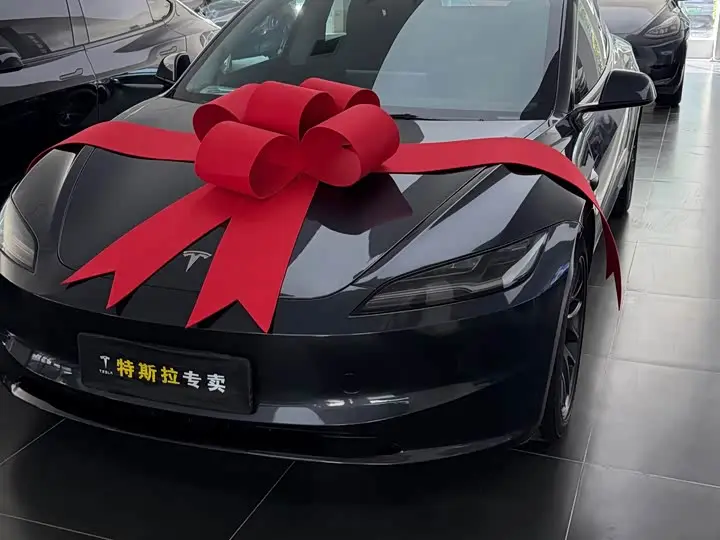 Tesla Model 3 2023, арт. CN-3283529 — фото 1