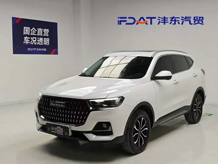 Haval H6 2023, арт. CN-3286183 — фото 1