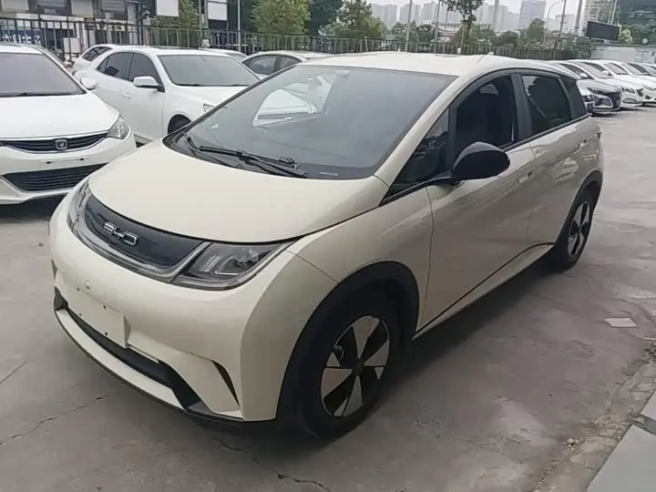 BYD Dolphin 2023, арт. CN-3286952 — фото 1