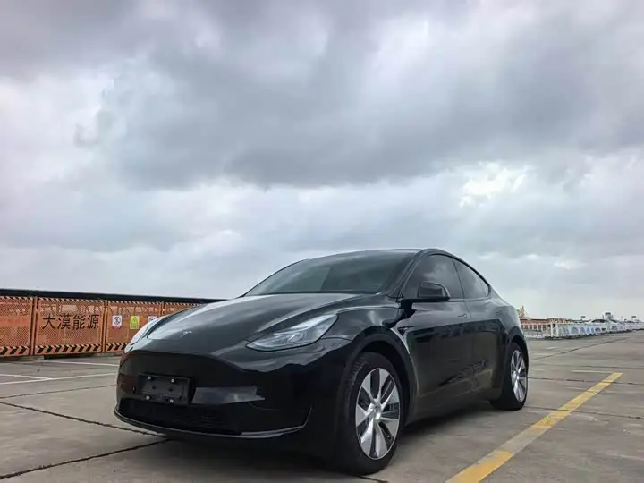 Tesla Model Y 2022, арт. CN-3291660 — фото 1