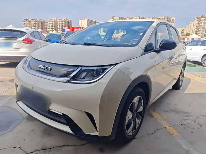 BYD Dolphin 2025, арт. CN-3293168 — фото 1