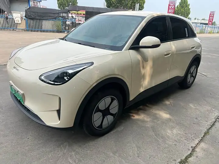Geely Galaxy Geome 2025, арт. CN-3300501 — фото 1