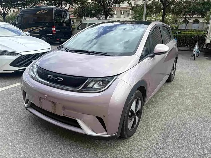 BYD Dolphin 2023, арт. CN-3306851 — фото 1