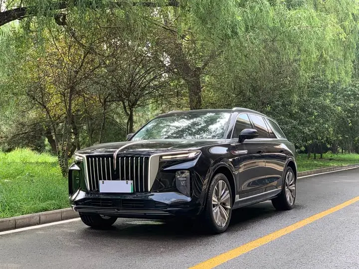 Hongqi E-HS9 2021, арт. CN-3309007 — фото 1