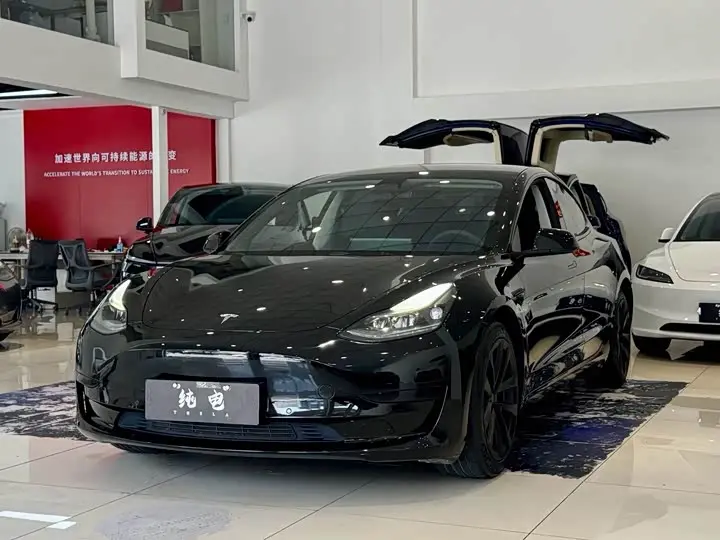 Tesla Model 3 2022, арт. CN-3312362 — фото 1