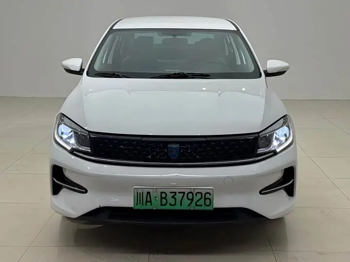 Dongfeng Forthing S60 EV 2024, фото из объявления