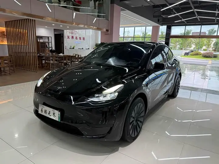 Tesla Model Y 2022, арт. CN-3317954 — фото 1