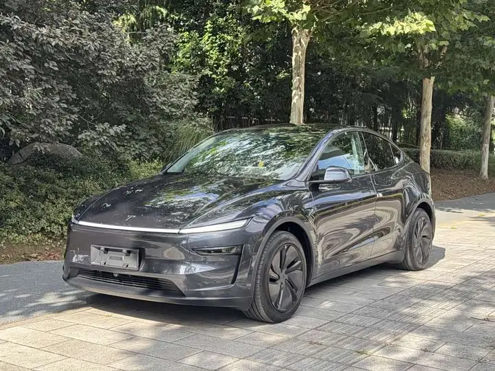 Tesla Model Y 2025, арт. CN-3318355 — фото 1