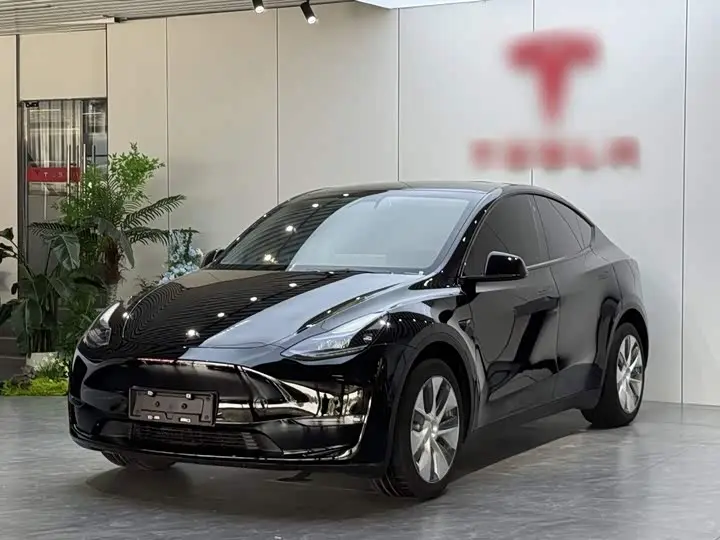 Tesla Model Y 2022, арт. CN-3318402 — фото 1