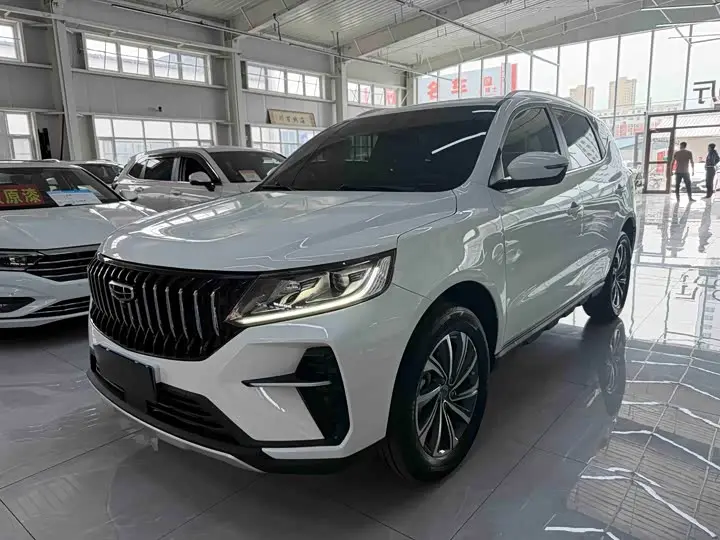 Geely Vision X6 2021, арт. CN-3372014 — фото 1