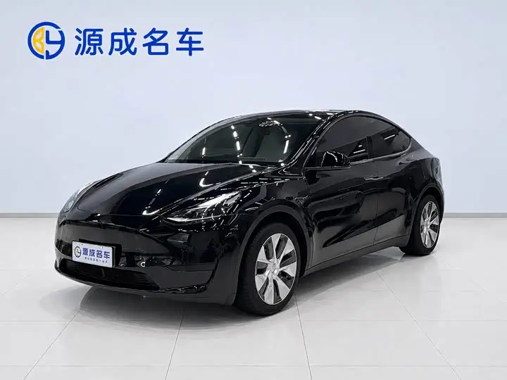 Tesla Model Y 2022, арт. CN-3372960 — фото 1