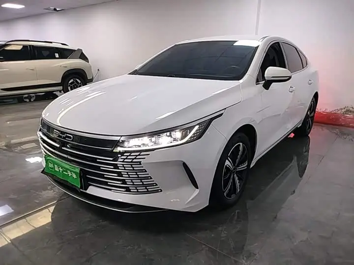BYD Destroyer 05 2024, арт. CN-3375291 — фото 1