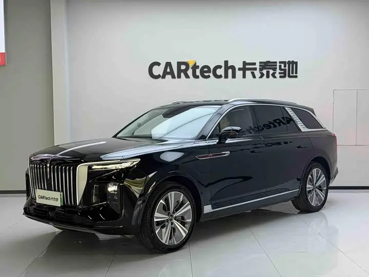 Hongqi E-HS9 2021, арт. CN-3376074 — фото 1