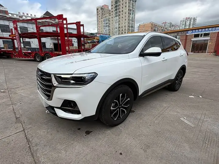 Haval H6 2021, арт. CN-3378366 — фото 1