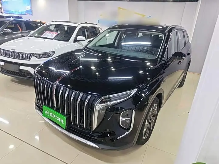 Hongqi HS7 Hybrid 2024, арт. CN-3379985 — фото 1