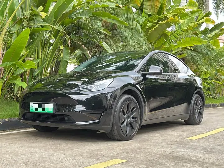 Tesla Model Y 2023, арт. CN-3381101 — фото 1