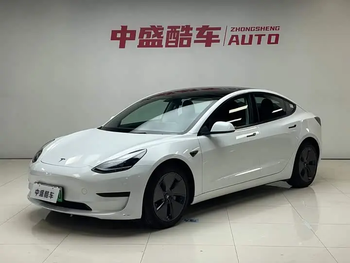 Tesla Model 3 2022, арт. CN-3420659 — фото 1