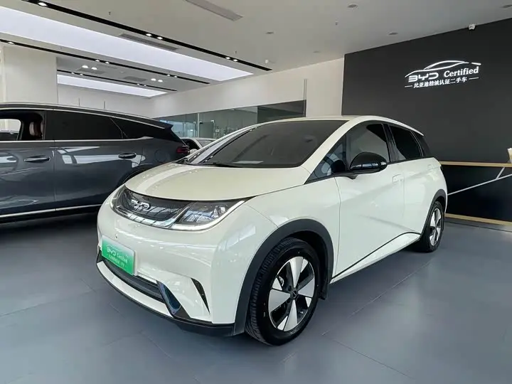 BYD Dolphin 2023, арт. CN-3444075 — фото 1