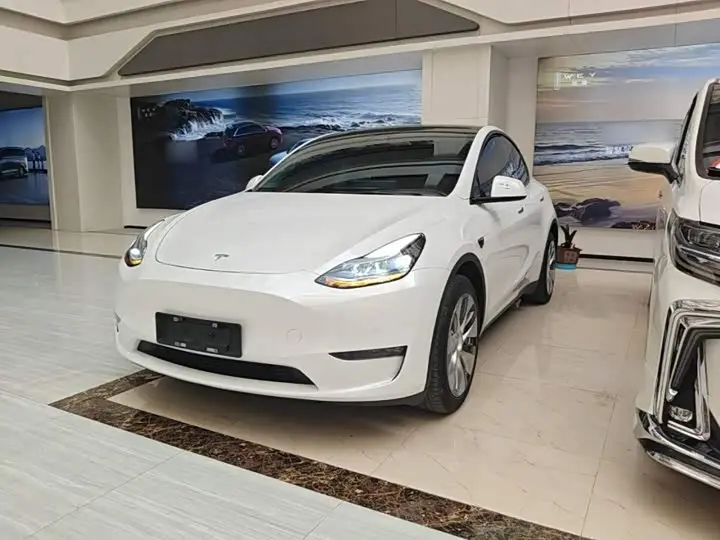 Tesla Model Y 2022, арт. CN-3444295 — фото 1