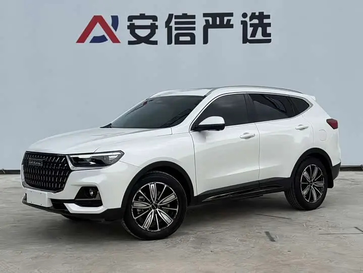 Haval H6 2023, арт. CN-3445033 — фото 1
