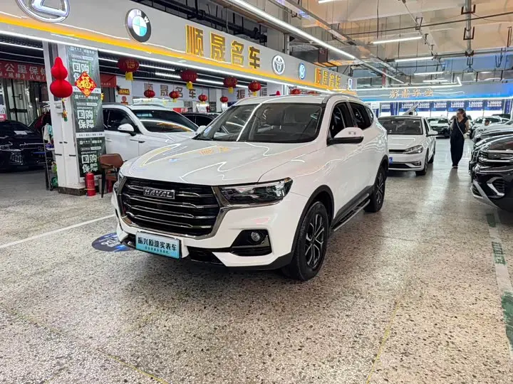Haval H6 2021, арт. CN-3445286 — фото 1
