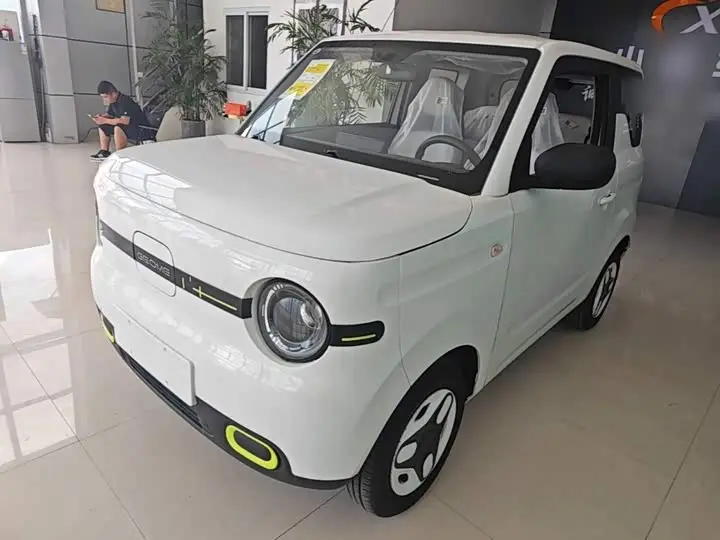 Geely Galaxy Panda Mini 2025, арт. CN-3446670 — фото 1