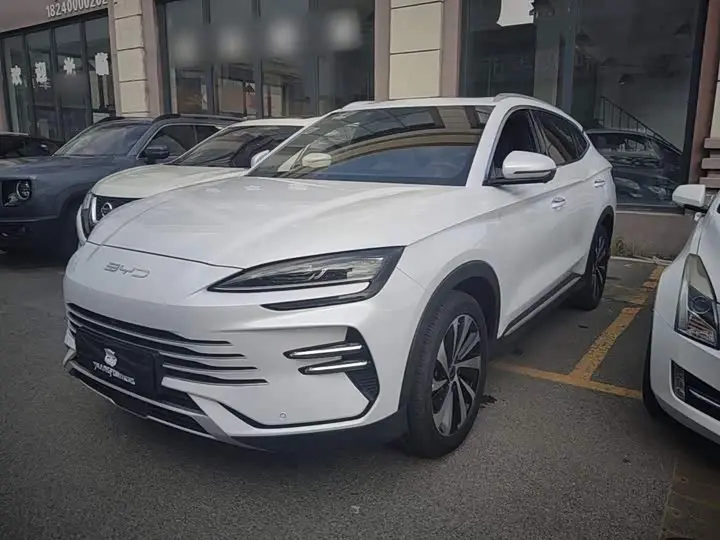 BYD Song Plus Hybrid/EV 2024, арт. CN-3449014 — фото 1
