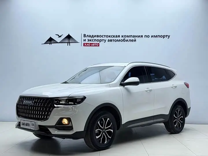 Haval H6 2021, арт. CN-3451639 — фото 1