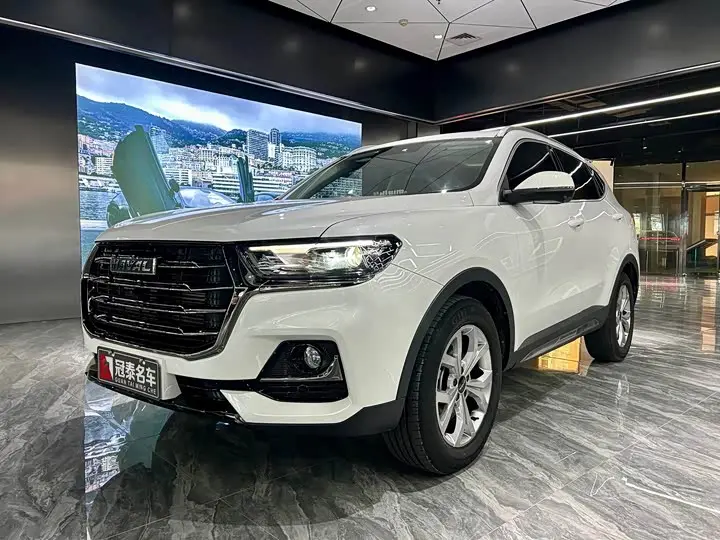 Haval H6 2021, арт. CN-3452345 — фото 1