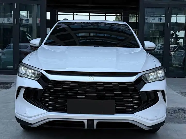 BYD Song Pro Hybrid 2023, арт. CN-3452346 — фото 1