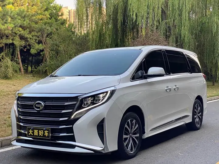 GAC Trumpchi M8 2024, арт. CN-3453500 — фото 1