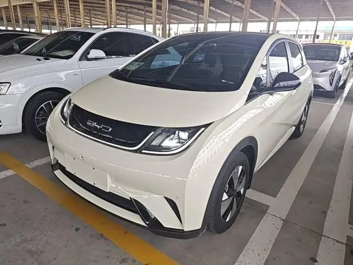 BYD Dolphin 2023, арт. CN-3454305 — фото 1