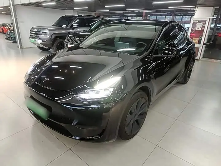 Tesla Model Y 2024, арт. CN-3454580 — фото 1