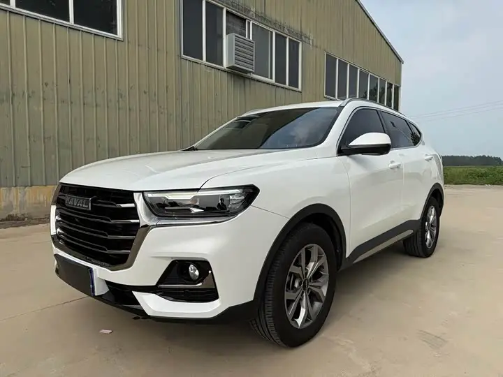 Haval H6 2021, арт. CN-3455121 — фото 1