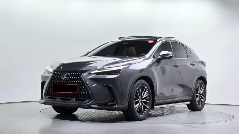 Lexus NX 2022, арт. KR-3489802 — фото 1