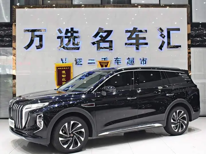 Hongqi HS7 Hybrid 2024, арт. CN-3491010 — фото 1