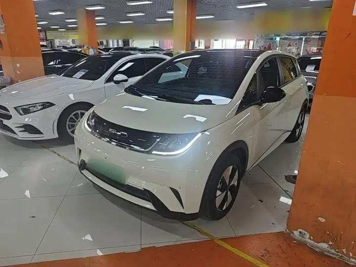 BYD Dolphin 2023, арт. CN-3496607 — фото 1