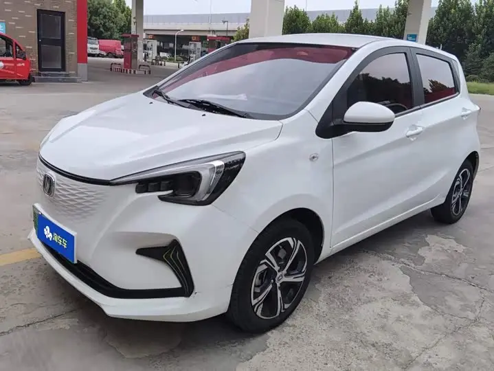 Changan Oshan BenBen E-Star 2023, фото из объявления