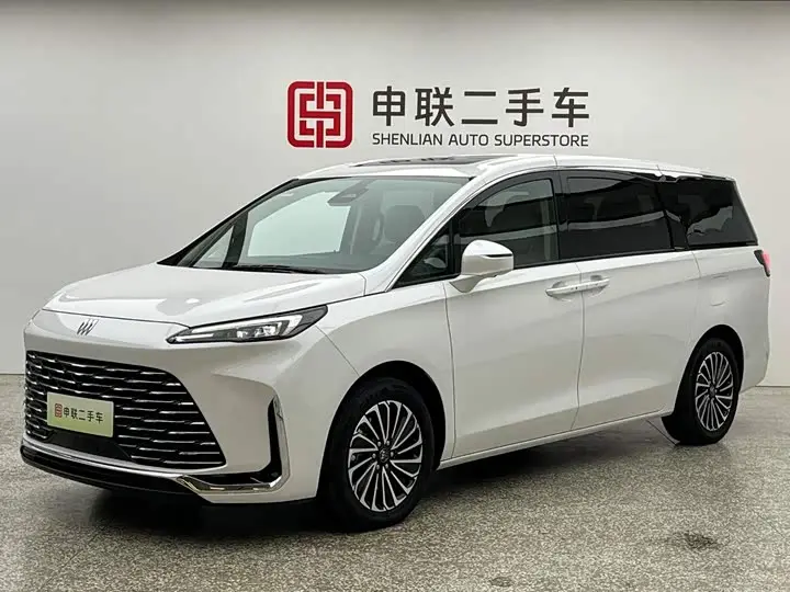 Buick GL8 Hybrid 2025, арт. CN-3498891 — фото 1